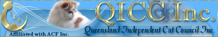 QICC banner
